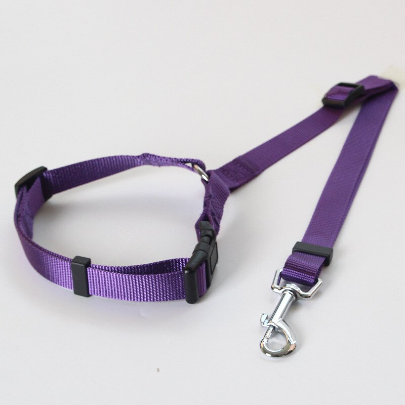 Pet Car Safety Leash Ring Dog Car Seat Belt Rear Seat Leash Leash Dog Name Tag  Collar Dog  Dog Harness and Leash Set  Auto