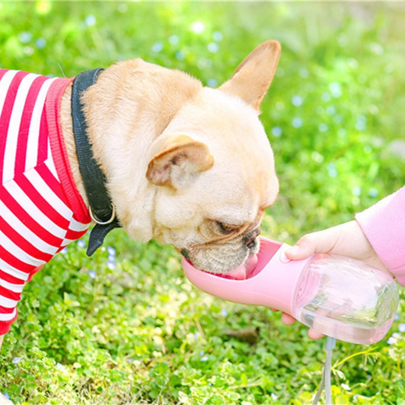 Dog Going Out Portable Drinking Water Cup Small Medium Dog Outdoor Feeding Kettle Dog Walking Supplies