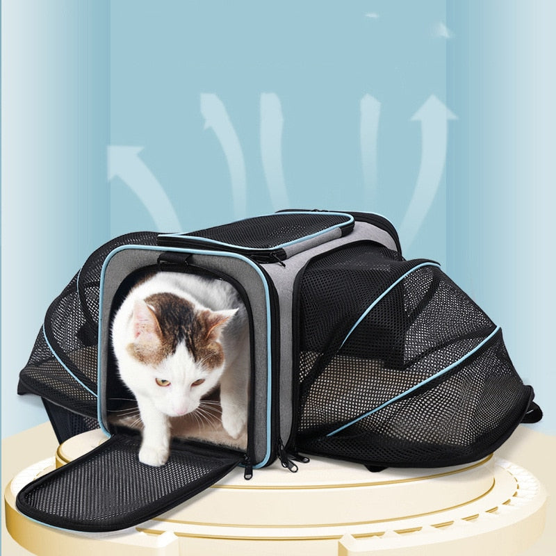 Pet Mo Pet Cat Bag Out Portable Expansion Pet Bag Large-capacity Dog Backpack Teddy Dog Bag Cat Supplies