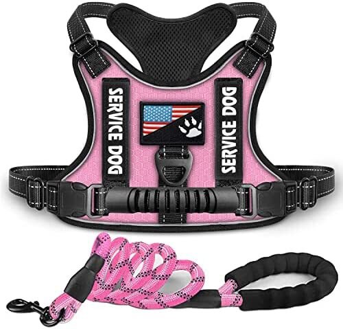 petAbsorption Comfortable Night Vision Reflective Pet Chest Strap Vest Traction Chest Strap Dog Collar  Dog Collar