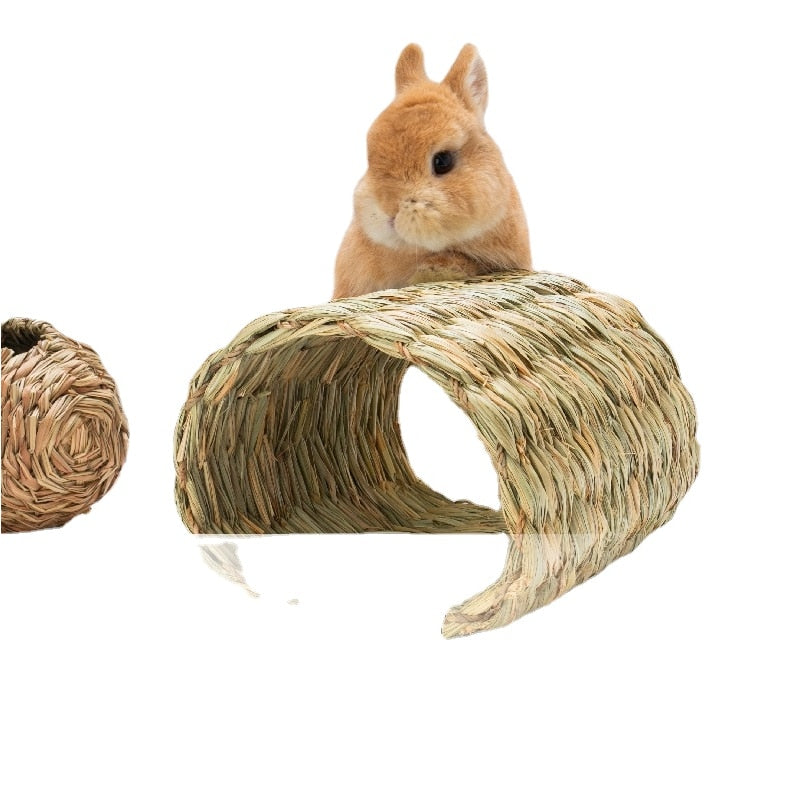 petGrass Game Channel Rabbit, Cat, Guinea Pig, Dutch Pig Tunnel, Timothy Grass Cat hiding house  Toys for cats