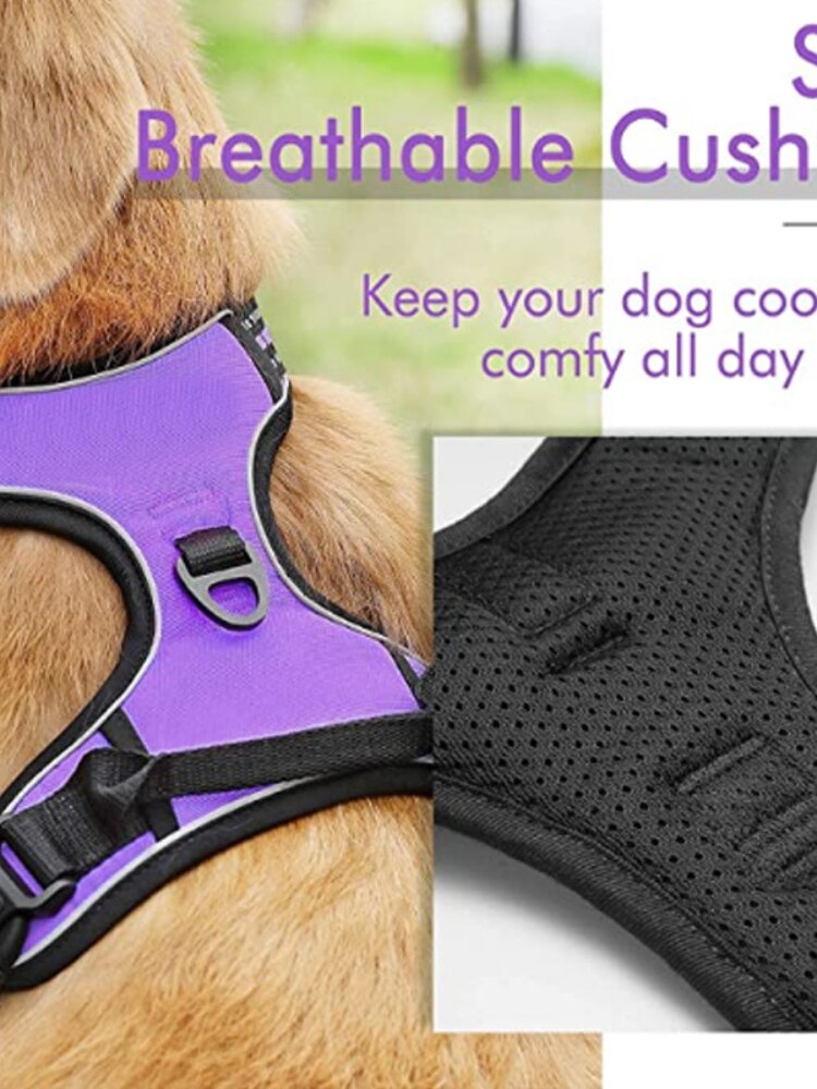 petThe Manufacturer Directly Supplies Amazon's New Pet Chest Strap, Medium and Large Dog Vest, Towing Rope and Dog Chain