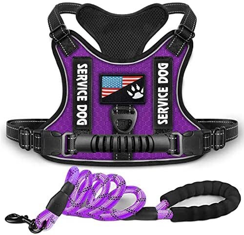 petAbsorption Comfortable Night Vision Reflective Pet Chest Strap Vest Traction Chest Strap Dog Collar  Dog Collar