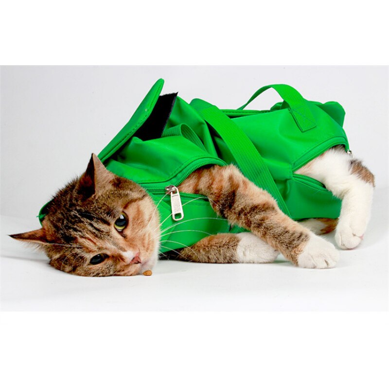 Spot Pet Outgoing Bag Portable Foldable Cat Backpack Cat Baoding Bag Special Fixed Cat Bag for Biting pet