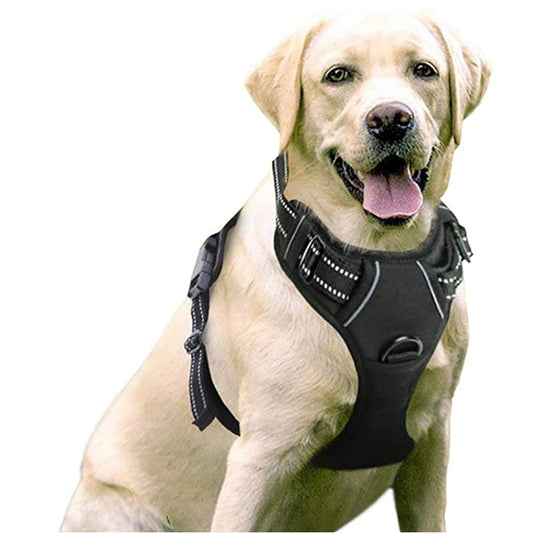 petThe Manufacturer Directly Supplies Amazon's New Pet Chest Strap, Medium and Large Dog Vest, Towing Rope and Dog Chain