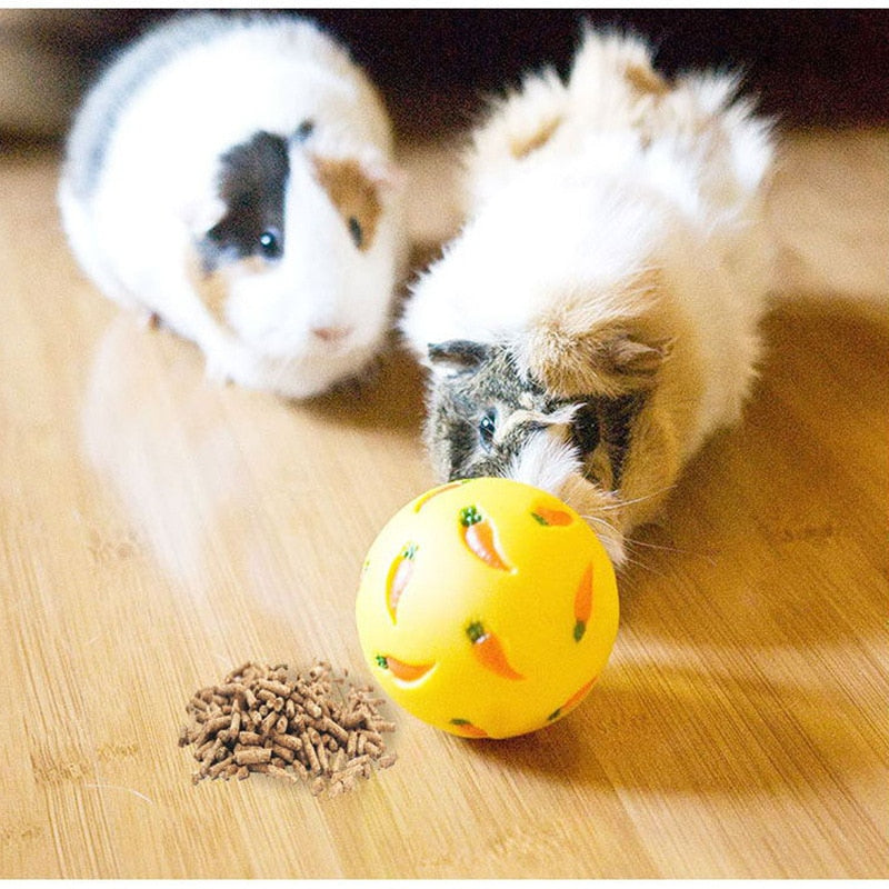 petPet Leaky Rabbit Toy New Carrot Feed Rabbit Totoro Leaky Ball Training & Behavior Aids