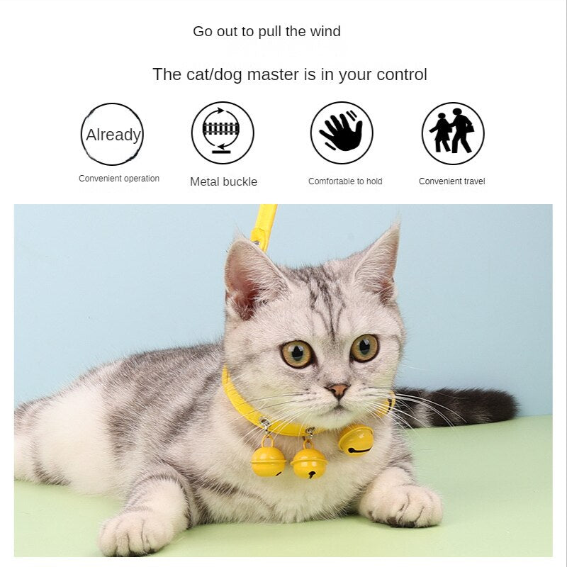 Pet Bell Collar with Bell Small Dog Collar with Dog Chain Dog Rope Pet Traction Rope