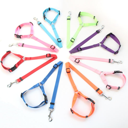 Leash Ring Dog Car Seat Belt Rear Seat Leash LeashPet Car Safety