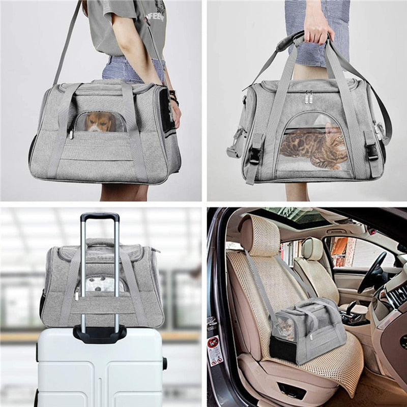 Bag Cat Out Portable Pet Bag Large Capacity Dog Bag Cat Portable Slung Cat Cage Canvas Dog Backpack